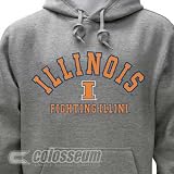 Men's University of Illinois Fighting Illini Campus Yard Printed Fleece Hoodie