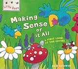 Making sense of it all : a first look at the senses