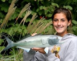 Taxidermy 20" Fiberglass Bluefish Wall Mount Plaque