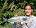 Taxidermy 20" Fiberglass Bluefish Wall Mount Plaque