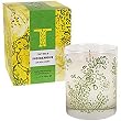 Thymes Indigenous Candle 9 oz net wt / 255 g