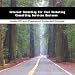 Internet Marketing For Your Marketing Consulting Services Business