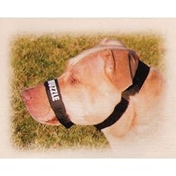 Comfort Muzzle 1" Adjustable - For necks 16" - 24".