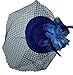 Fascinators Hair Clip Headband Pillbox Hat Bowler Feather Flower Veil Wedding Party Hat, Royal Blue, One Size