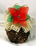 erin's sugarfree holiday flower apple
