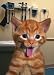 GET WELL W/ SICK KITTY
