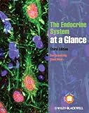 The endocrine system at a glance