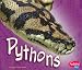 Search : Pythons (Pebble Plus: African Animals)
