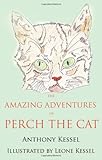 The amazing adventures of Perch the cat