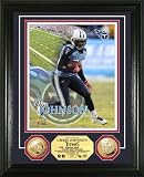 NFL Tennessee Titans 24KT Gold Coin Photo Mint