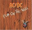Fly on the Wall
