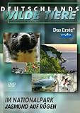 Eigenschaften VZ-Handelsgesellschaft  / Deutschlands wilde Tiere - Jasmund auf Rügen