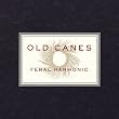 Feral Harmonic