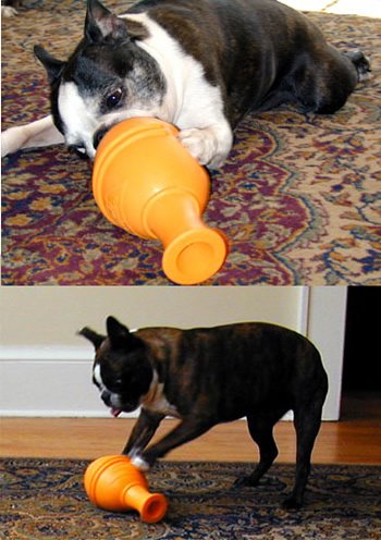 早食い ダイエット が気になる 犬 に効果的な食器 フードボウル・レオ ケーナインジーニアス