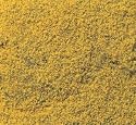 Flowering Foliage, Yellow