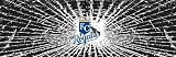 Kansas City Royals Shattered Auto Rear Window Decal