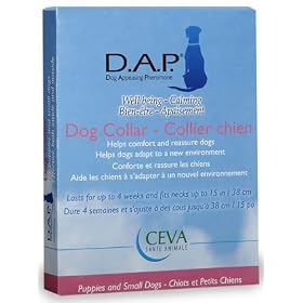 D.A.P. Collar - Dog Appeasing Pheromone - Medium: Pet Supplies