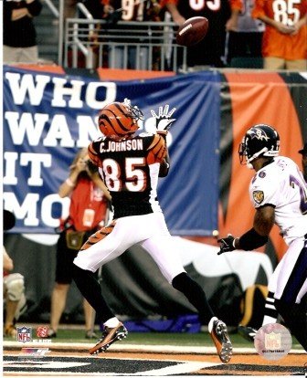 Chad Johnson Ochocinco Bengals In The Endzone 8x10 Photo