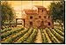 Cardella Winery by Joanne Margosian - Tuscan Vineyard Tumbled Marble Mural 16 x 24 Kitchen Backsplash