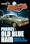 Project: Old Blue Hair