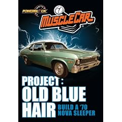 Project: Old Blue Hair