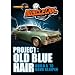 Project: Old Blue Hair