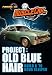 Project: Old Blue Hair
