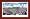 Florida Gators Framed Florida Gators 