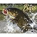 Bass 2012 Wall Calendar