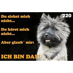 Metall - Warnschild Cairn Terrier, Cairnterrier