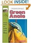 The Guide to Owning a Green Anole