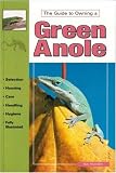 Green Anoles: Selection, Care and Breeding