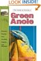 The Guide to Owning a Green Anole