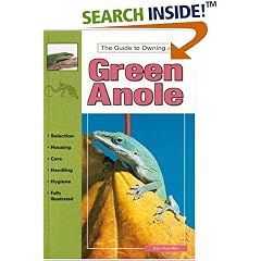 Green Anoles: Selection, Care and Breeding