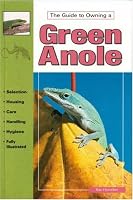 Green Anoles: Selection, Care and Breeding