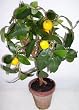 22" Artificial Lemon Tree