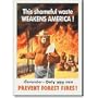 Smokey the Bear Shameful Waste Prevent Forest Fires Retro Vintage Tin Sign