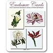 Assorted Botanicals - Set of Four Gift Cards and Vellum Envelopes