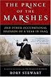 The Prince of the Marshes: And Other Occupational Hazards of a Year in Iraq