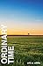Ordinary Time: A Journey of Counting, Conforming and Embracing God's Presence in Everyday Life