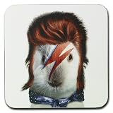 Takkoda Pets Rock 'Glam Rock' Cat Coaster