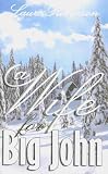 A Wife for Big John[ A WIFE FOR BIG JOHN ] by Robinson, Lauri (Author) Feb-08-08[ Paperback ]