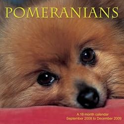 Pomeranians 2009 Wall Calendar