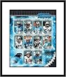 2006 Carolina Panthers Team Composite NFL Framed 8x10 Photograph - CLOSEOUT SPECIAL
