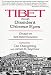 Tibet Through Dissident Chinese Eyes: Essays on Self-Determination
