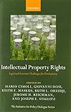 Intellectual property rights : legal and economic challenges for development