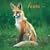 Foxes 2009 Square Wall Calendar (Multilingual Edition)
