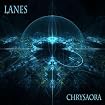 Chrysaora