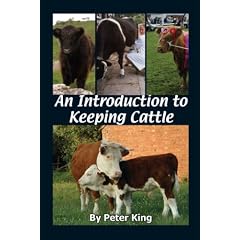 An Introduction to Keeping Cattle