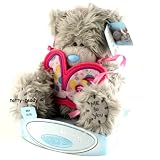 Me to You Tatty Teddy 6″ 16th birthday Plush Bear